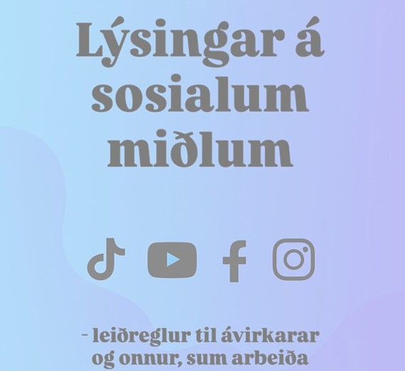 Leidreglur Forsida